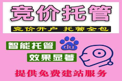 代理开户服务在海外投资中的应用案例